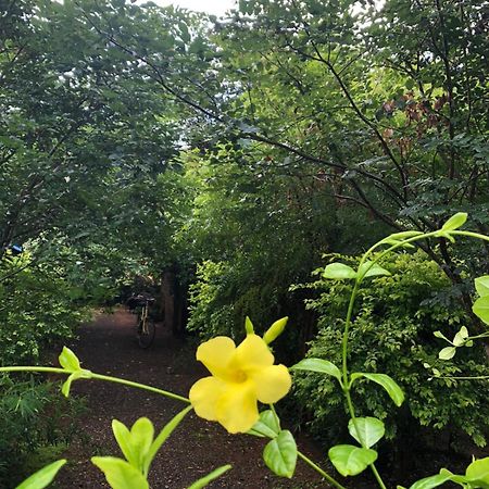 Forest Villa Nature Resort Anuradhapura Exterior foto