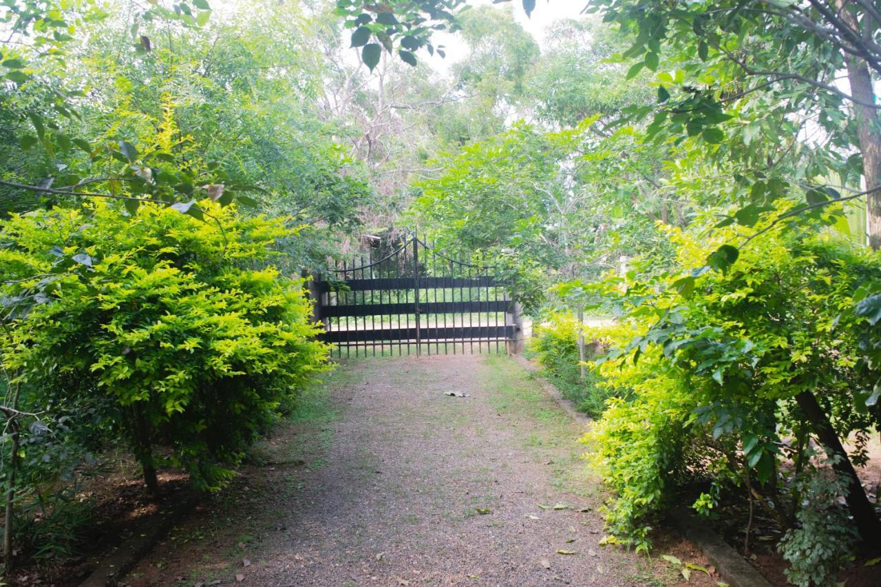 Forest Villa Nature Resort Anuradhapura Exterior foto