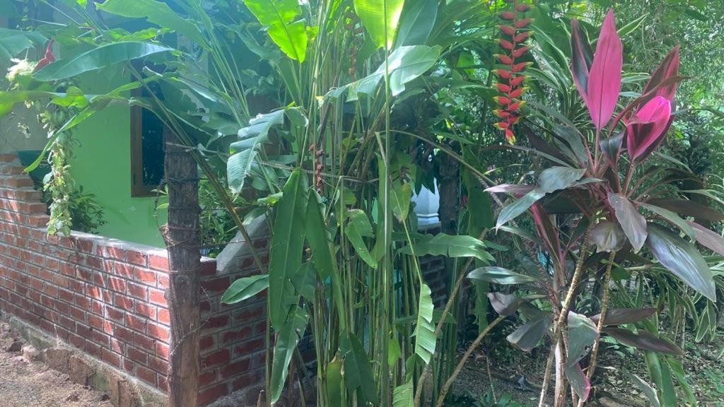 Forest Villa Nature Resort Anuradhapura Exterior foto