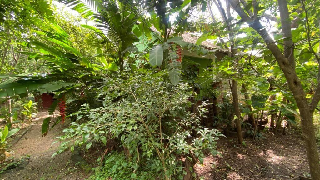 Forest Villa Nature Resort Anuradhapura Exterior foto