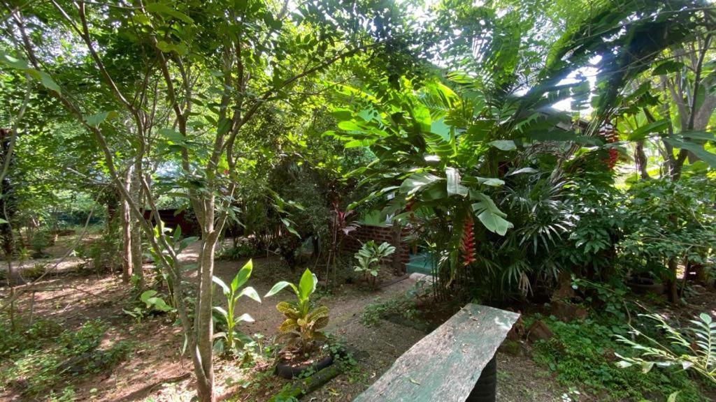Forest Villa Nature Resort Anuradhapura Exterior foto