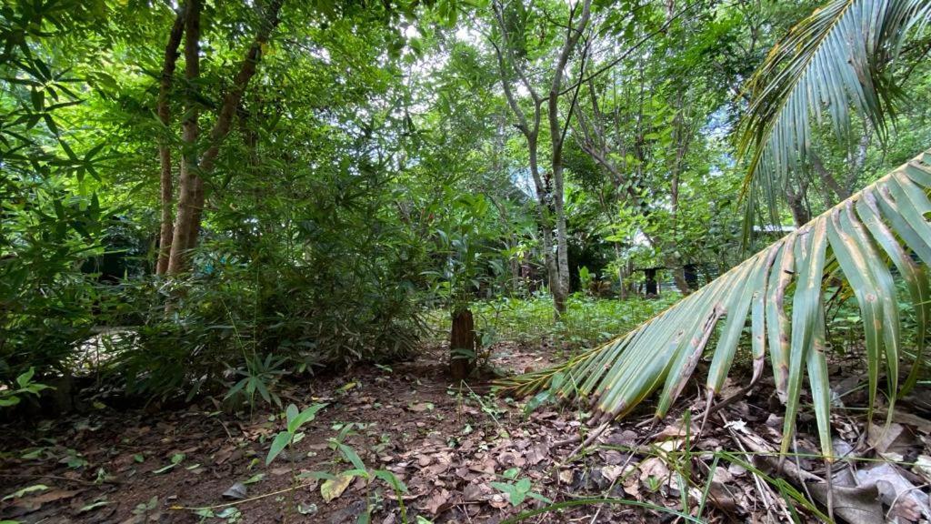 Forest Villa Nature Resort Anuradhapura Exterior foto