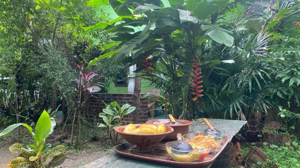 Forest Villa Nature Resort Anuradhapura Exterior foto