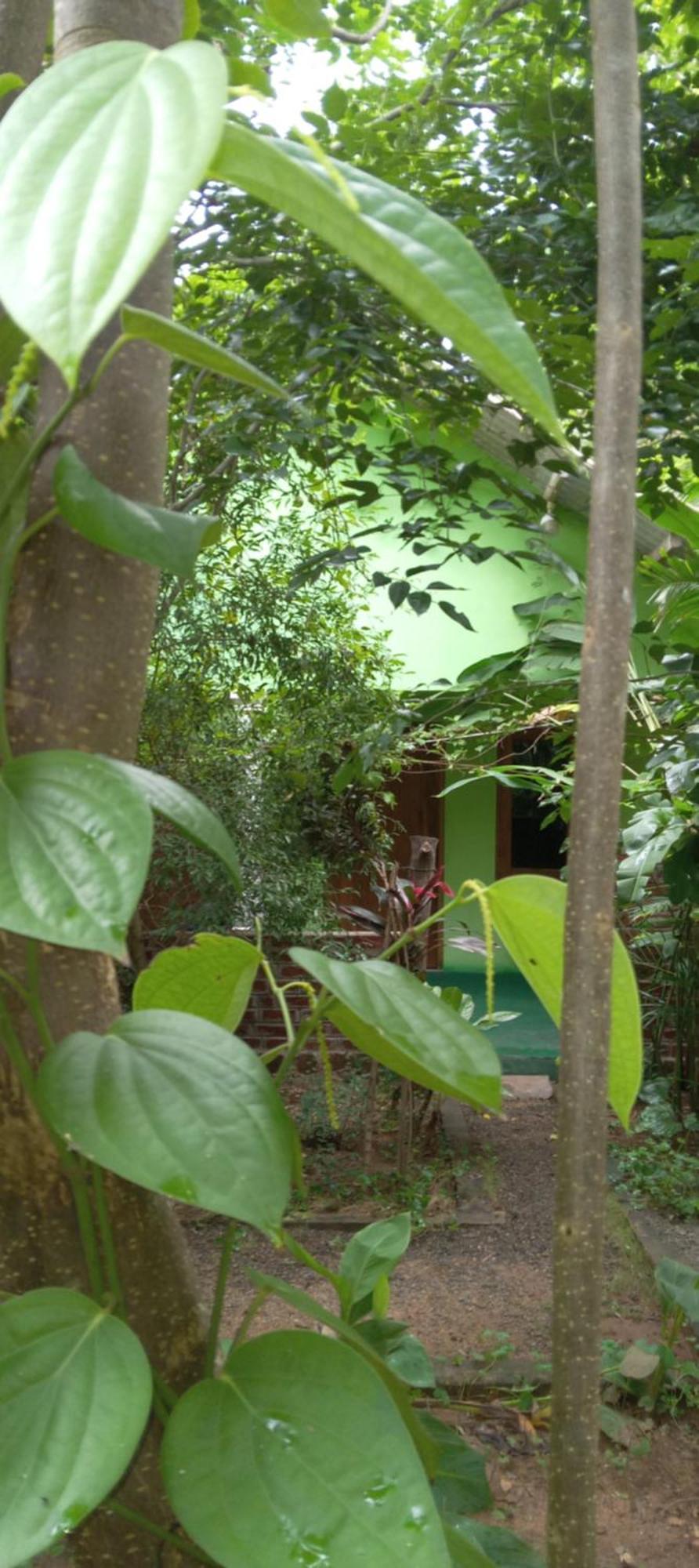 Forest Villa Nature Resort Anuradhapura Exterior foto