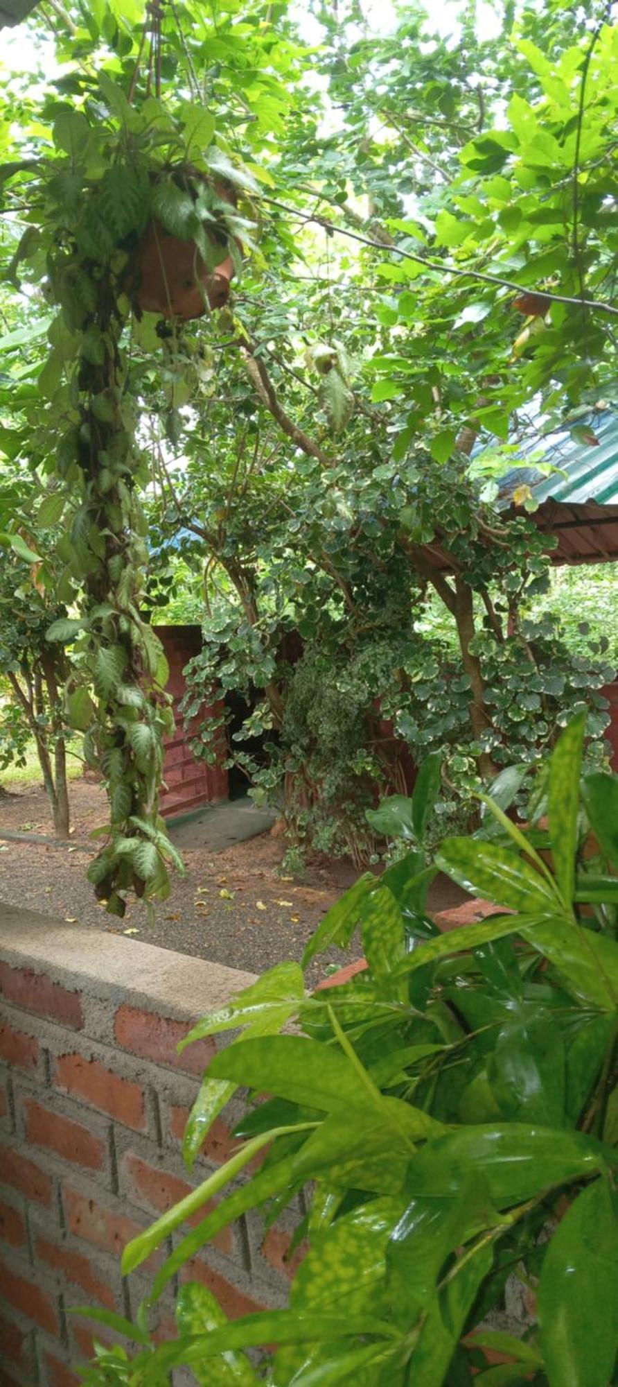 Forest Villa Nature Resort Anuradhapura Exterior foto