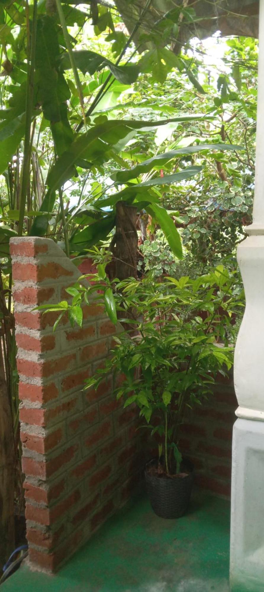 Forest Villa Nature Resort Anuradhapura Exterior foto