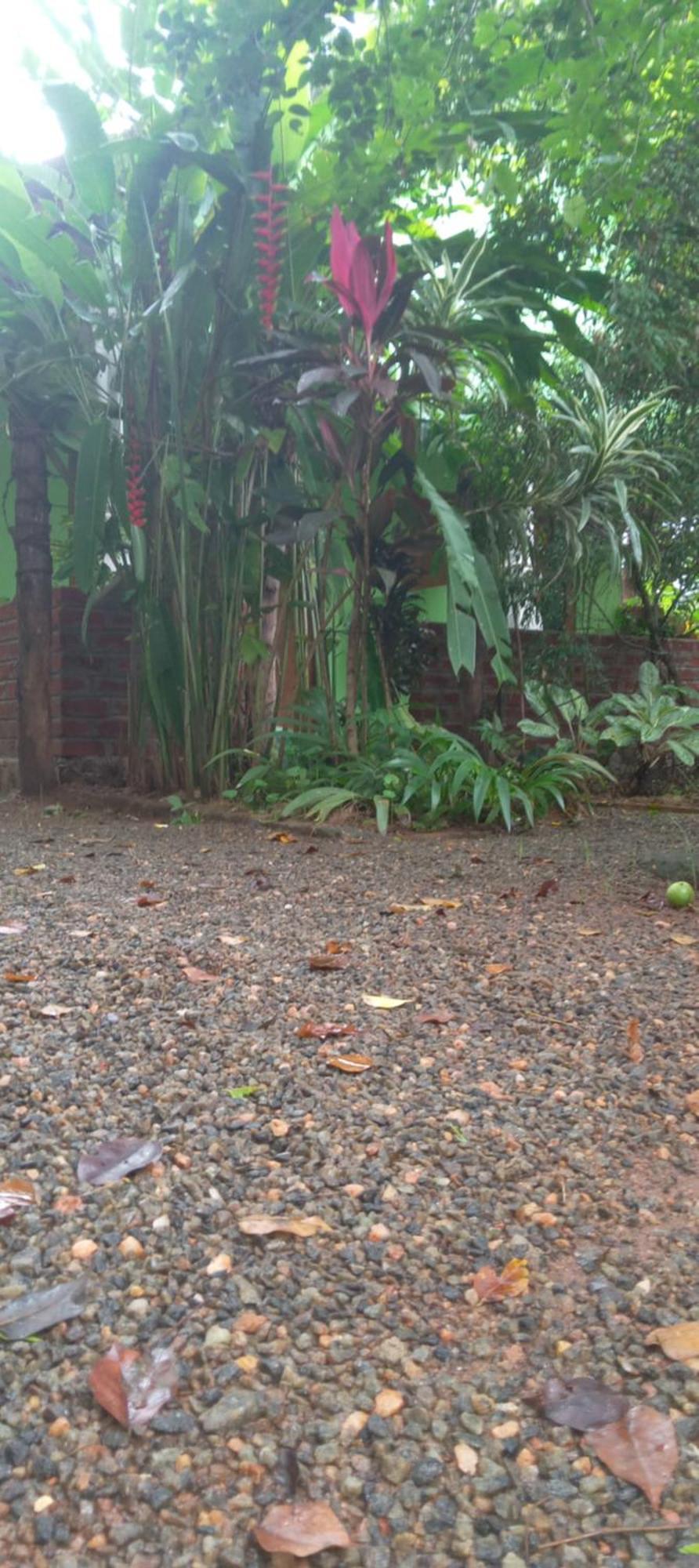 Forest Villa Nature Resort Anuradhapura Exterior foto