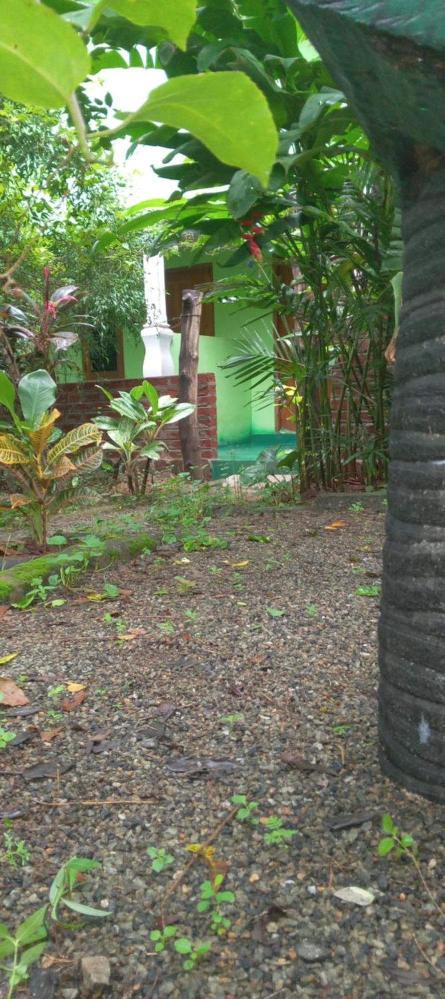 Forest Villa Nature Resort Anuradhapura Exterior foto