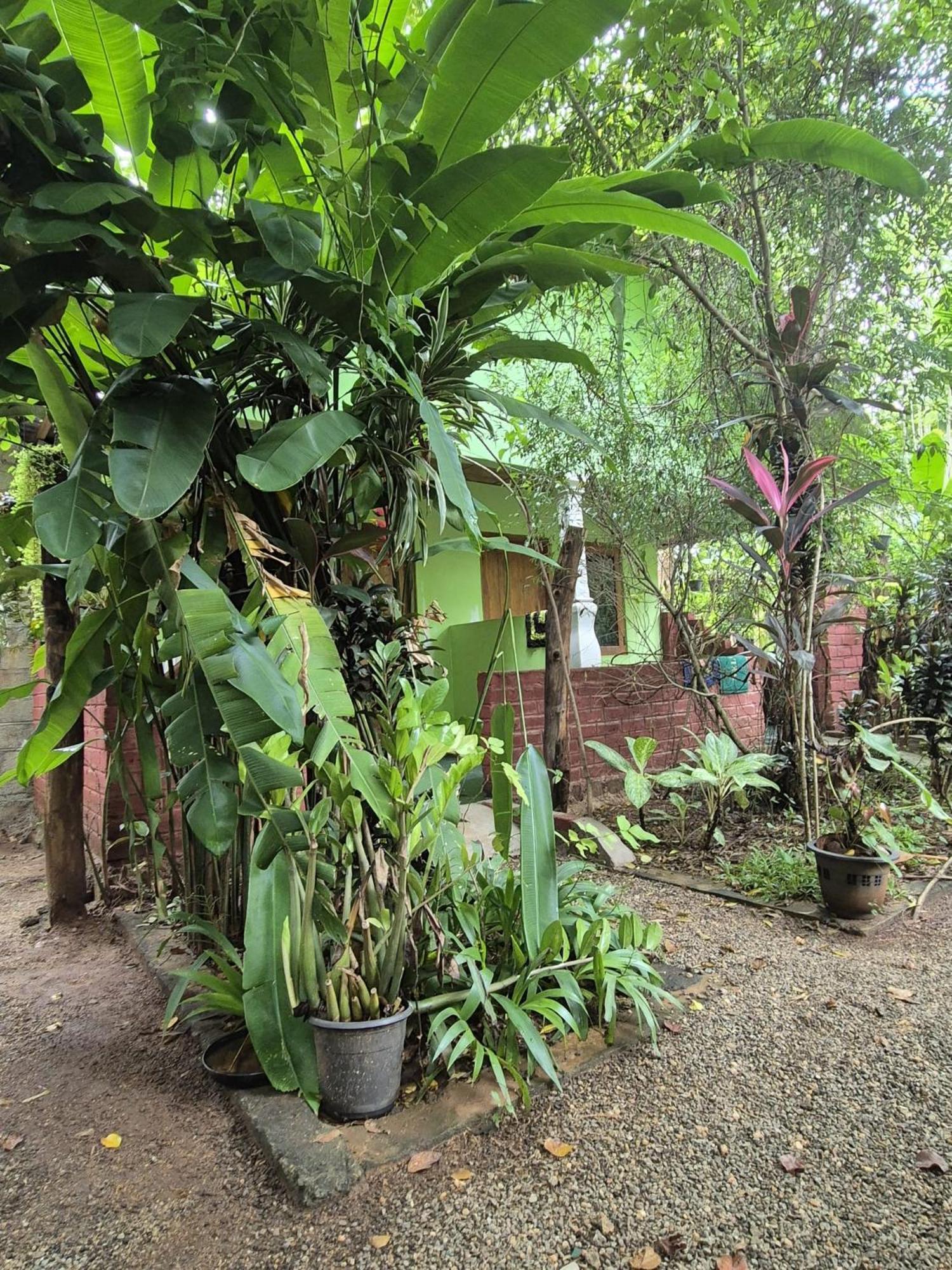 Forest Villa Nature Resort Anuradhapura Exterior foto