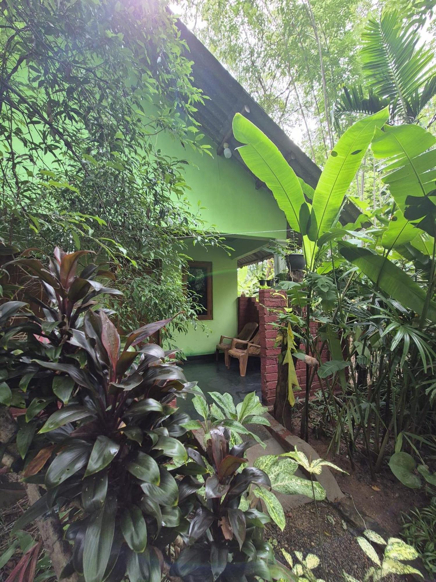 Forest Villa Nature Resort Anuradhapura Exterior foto